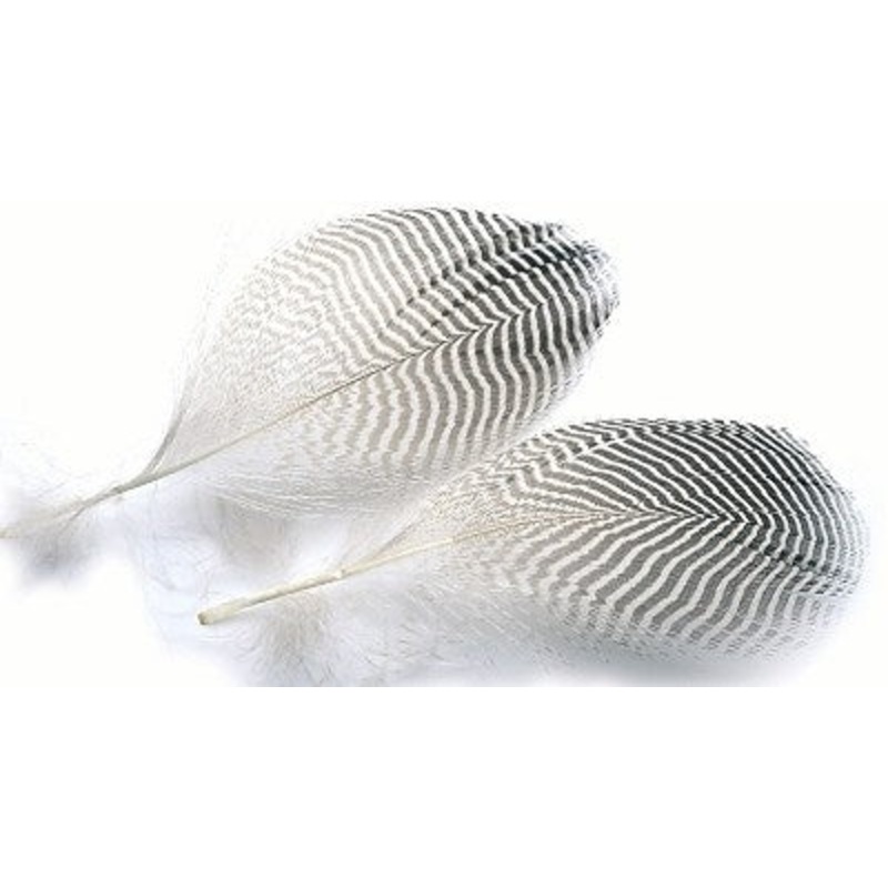 Teal Flank Feathers
