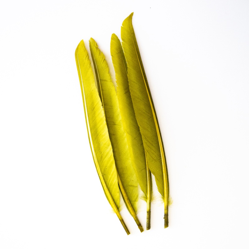 Wapsi - Duck Quill - 2 Pair