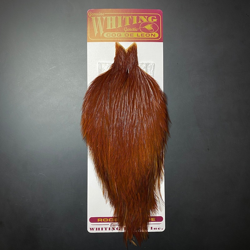 Whiting Coq De Leon Cape