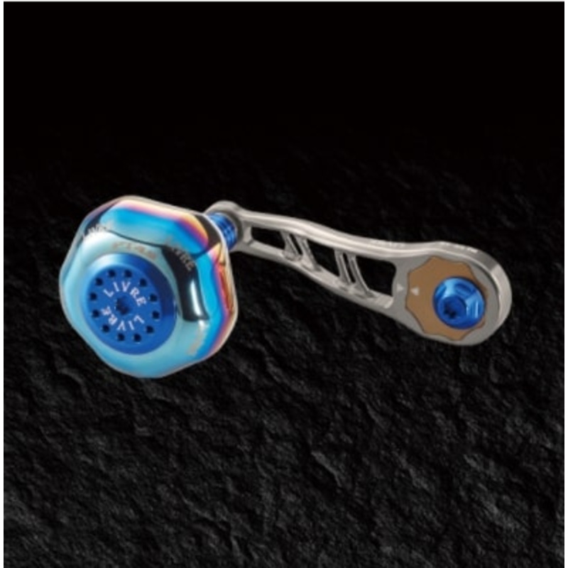 Livre BJ 66-74PT Daiwa B2 (Titanium P+Blue G)