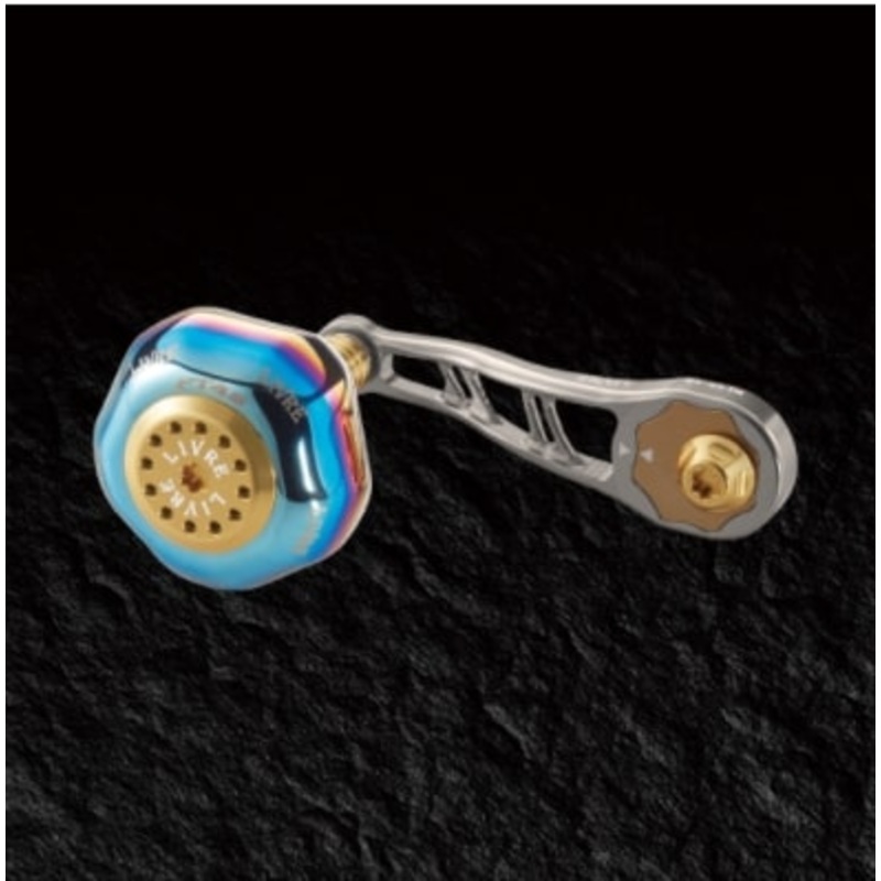 Livre BJ 66-74PT Daiwa B2 (Titanium P+Gold G)