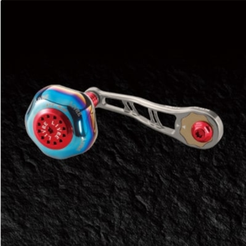 Livre BJ 75-83PT Daiwa B1 (Titanium P+Red G)