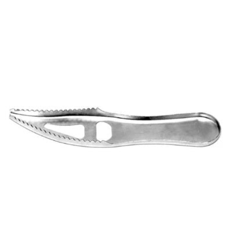 HT Fish Scaler