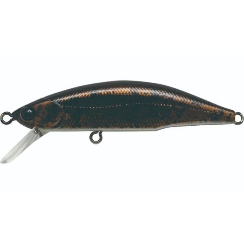 Jackson Trout Plug Meteora 63 BKG Kajika Frog