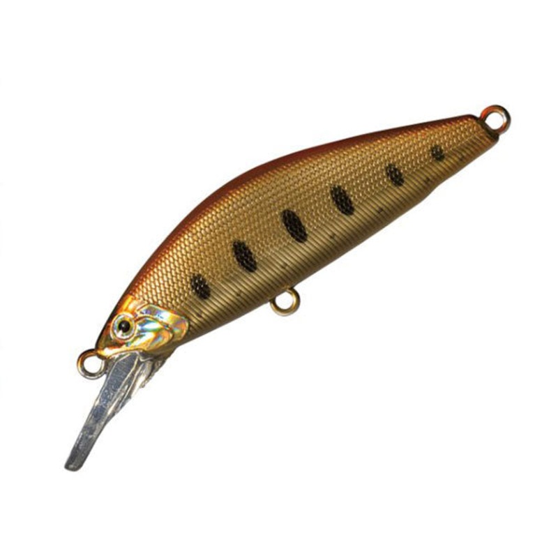 Smith Trout Plug D-Concept 48MD #09 Orange Haku