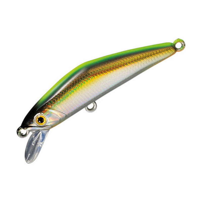 Smith Trout Plug D-Compact 45 FES #15 CH Back TS Laser