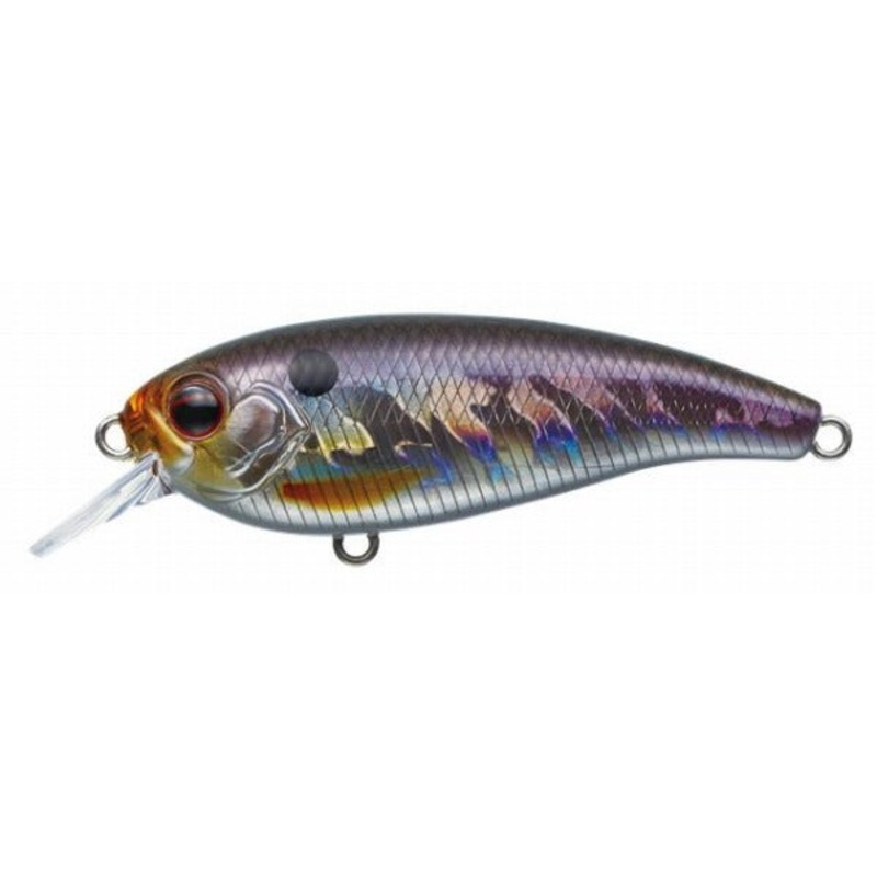 Evergreen Bass Lure Belcanto #209 Hologram Wakasagi