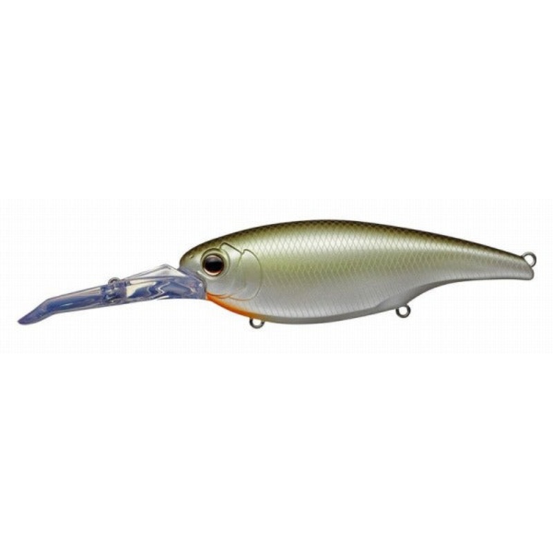 Evergreen Bass Lure MoDO DDX-Over #251 Secret Chart
